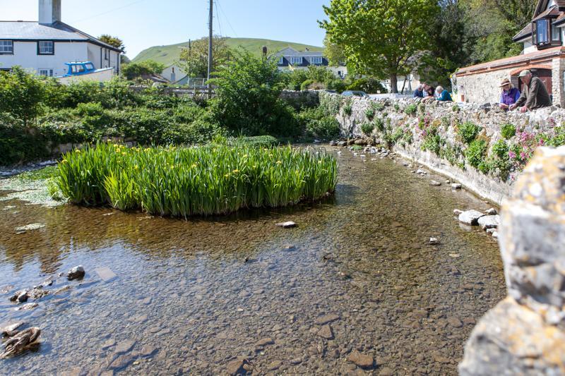 Lulworth Lodge Lulworth Cove Exterior foto
